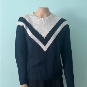 Banana Republic Navy and White V-Pattern Sweater